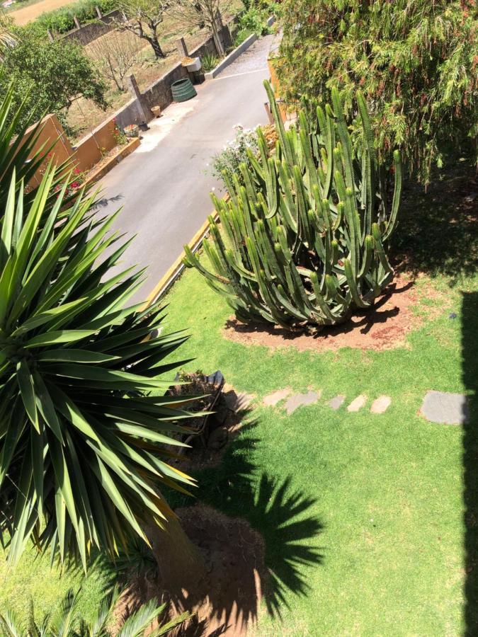 Apartamento En La Laguna La Laguna  Zewnętrze zdjęcie